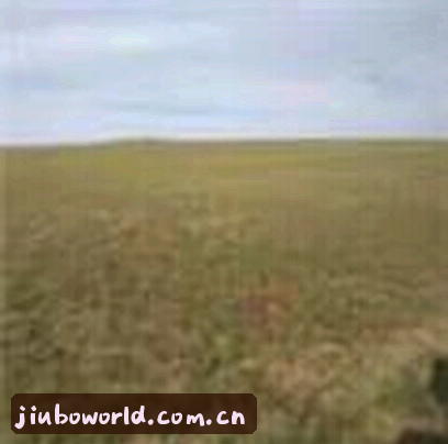 张磊