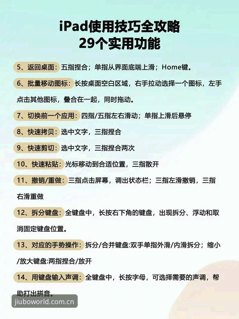 九博国际使用教程使用技巧 九博国际官网入口与手机版对比:使用教程使用技巧全解析